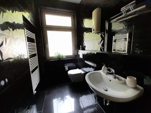 bagno con lavandino, servizi igienici e finestra di KOBLENZ O&O Apartment a Coblenza