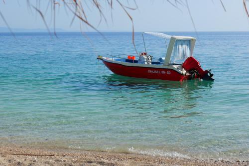 Fotografie z fotogalerie ubytování Vila Ari v destinaci Borsh