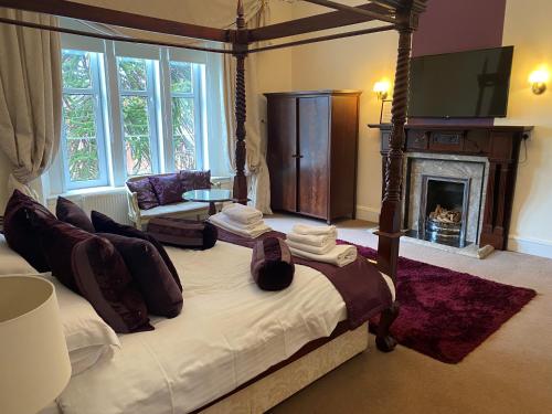 um quarto com uma cama de dossel e uma lareira em Avonbridge Hotel em Hamilton