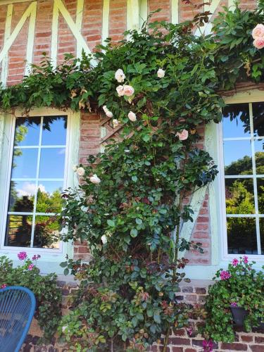 a bush of roses on the side of a building at L'Escapade in Foulbec
