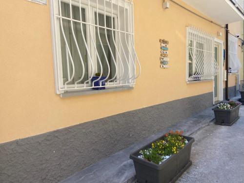 a building with two pots of flowers in front of a window at Cilento Experience rooms in Marina di Camerota