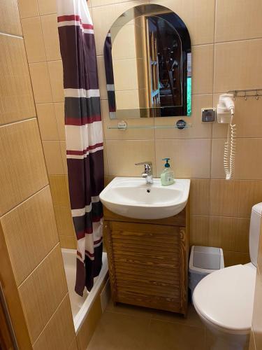 a bathroom with a sink and a mirror at Domki Chatka U Staszka in Małe Ciche
