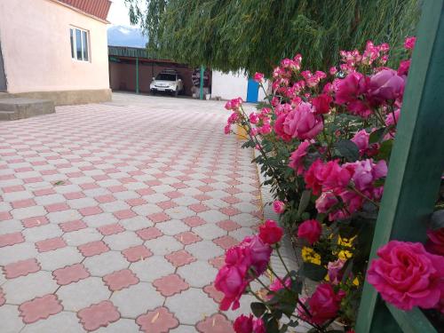 Zahrada ubytování Guest House Shirin