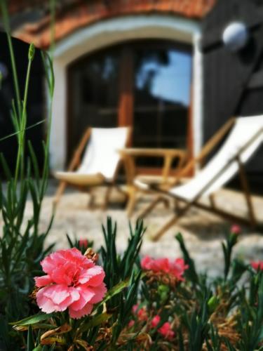 a pink flower in front of a patio with a chair at Jagodowy Sad - apartament z dwoma ogródkami in Radzie