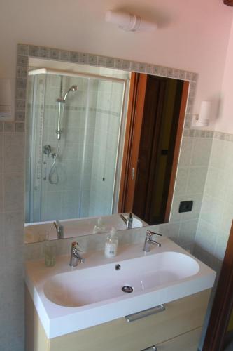a bathroom sink with a shower and a mirror at Torrente Rosandra in San Dorligo della Valle