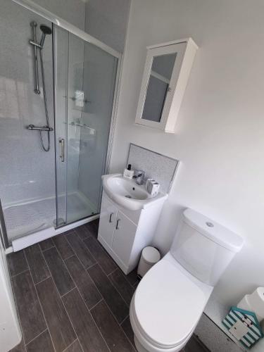 a bathroom with a toilet and a shower and a sink at The Ramleh in Scarborough