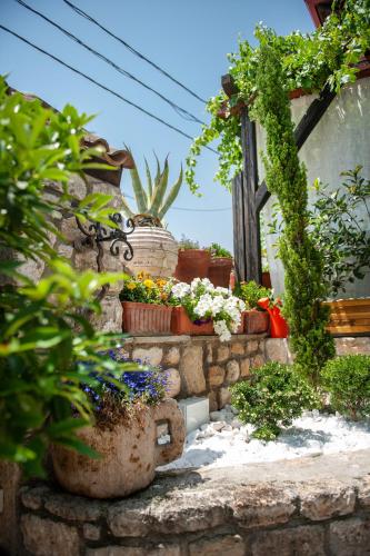 a group of potted plants on a stone wall at Villa La Strada in Afitos