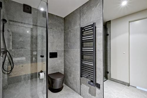 a bathroom with a shower stall and a toilet at Harda House Friends & Spa in Zakopane