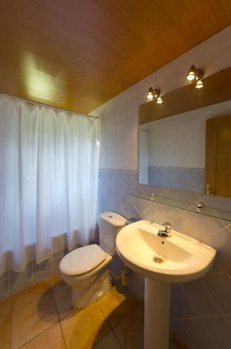 a bathroom with a toilet and a sink and a mirror at Casa Soltero Apartamentos in Aguascaldas