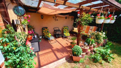 a patio with a bunch of potted plants at Rummy's Ferienwohnung mit Garten in Wernigerode