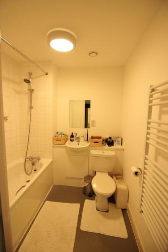 a bathroom with a toilet and a sink and a shower at Spacious and airy 1 bedroom flat - Great location in London