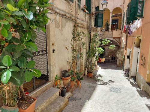 Gallery image of Chez Gabry in Sanremo