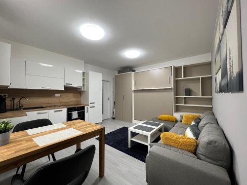 伏爾塔瓦河畔利普諾的住宿－Apartment RIVIERA Lipno 511，客厅配有沙发和桌子