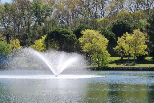 a fountain in the middle of a pond at Ni 100%Gite,Ni100% loc chez Kheira&Pascal in Vitrolles