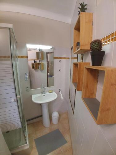 une petite salle de bain avec un lavabo et une douche dans l'établissement 