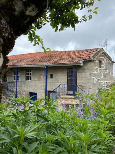 a stone house with a blue door and some plants at CASA DE CAMPO BENFEITO in Campo Benfeito