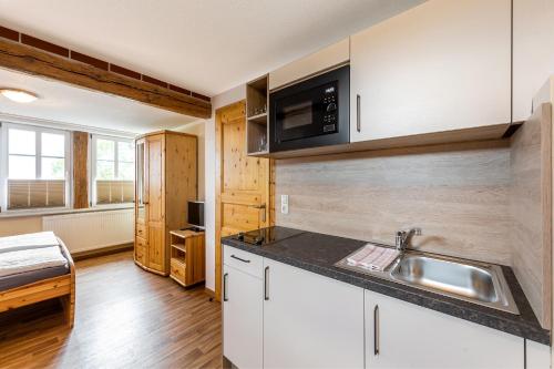 a kitchen with a sink and a microwave at Ferienhof Domäne Groschwitz in Rudolstadt