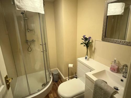 a bathroom with a shower and a toilet and a sink at Petteril House - Ground Floor in Carlisle