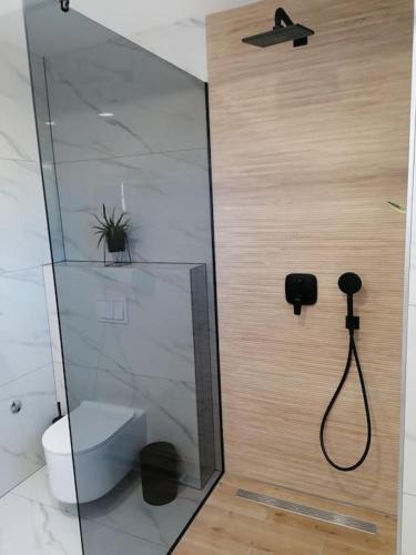 a bathroom with a shower stall with a toilet at APARTMAN MAX !!!! in Omiš