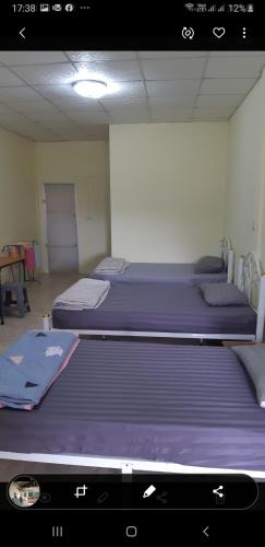 two beds in a room with purple sheets at Pakchong hostel & wildlife tour in Pak Chong