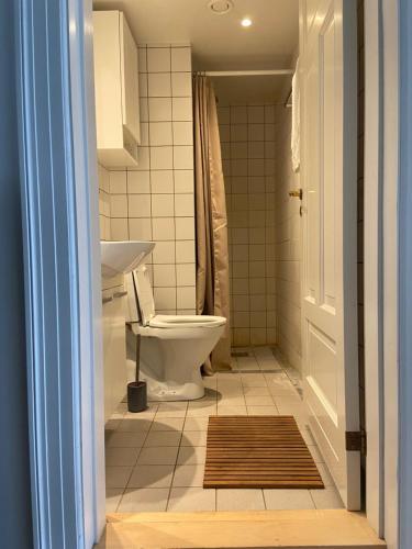 a bathroom with a toilet and a sink at Lejlighed indre København tæt ved Hovedbanegården. in Copenhagen