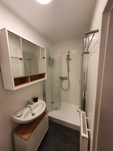 een badkamer met een wastafel en een douche bij Gemütliche Wohnung *zentral* *Netflix* *Parkplatz* in Bad Laasphe