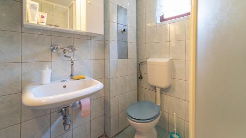 un piccolo bagno con servizi igienici e lavandino di Karolina a Fužine