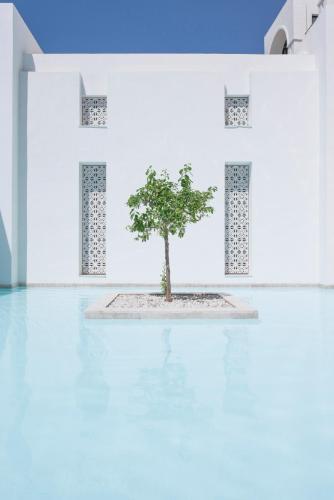 Φωτογραφία από το άλμπουμ του La Badira - Adult Only στο Χαμμαμέτ