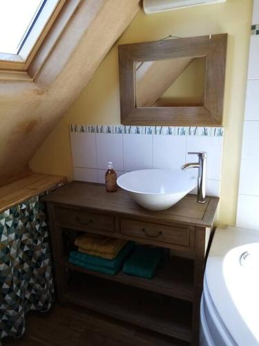 La salle de bains est pourvue d'un lavabo et d'un miroir sur un comptoir. dans l'établissement Le Studio, à Saint-Augustin