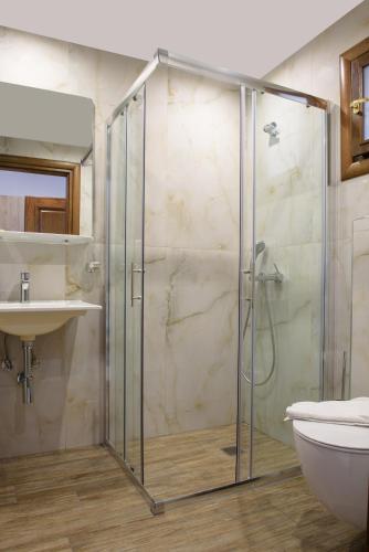 a bathroom with a glass shower and a sink at PANORAMA ROOM APARTMENs in Ouranoupoli
