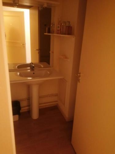 La salle de bains est pourvue d'un lavabo et d'un miroir. dans l'établissement Appartement de standing - La Bourboule, à La Bourboule