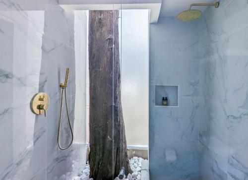 a bathroom with a shower with a wooden door at Hacienda Valentino in San Cristóbal de Las Casas