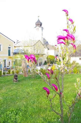 Jardín al aire libre en Natur.gut Gartner