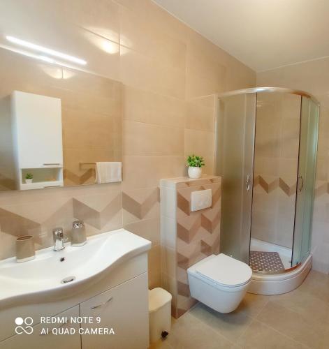 a bathroom with a shower and a toilet and a sink at Apartment Milotić in Lovran