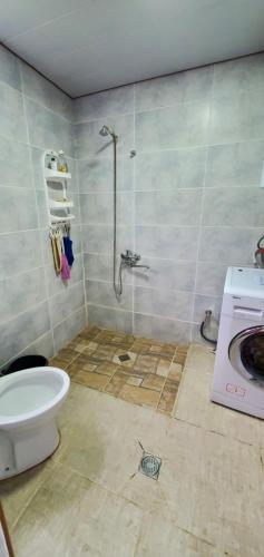 a bathroom with a shower and a toilet at Guest House EMZAR in Adishi