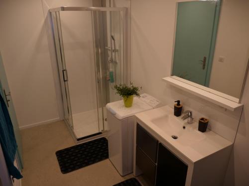 a bathroom with a sink and a shower with a mirror at Le grenier des hirondelles Gîte appartement au coeur de la route des vins d'Alsace in Rouffach