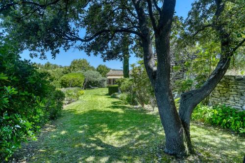 Κήπος έξω από το Villa Vermentine