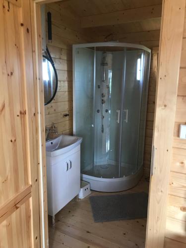 ein Bad mit einer Dusche und einem Waschbecken in der Unterkunft Sosnowy Zakątek Stegna- domki letniskowe in Stegna