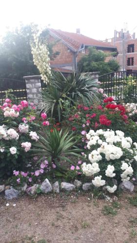 a garden with pink and white flowers and plants at Sobe Seka in Golubac