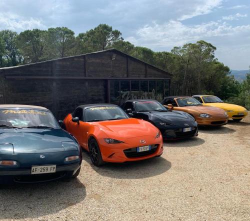 a row of parked cars parked in front of a building at Miataland in Collazzone