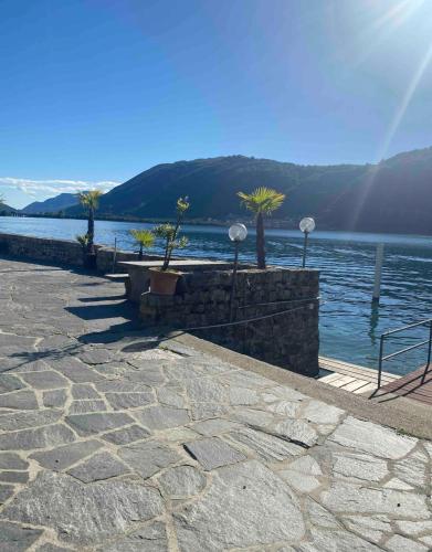 a large body of water with palm trees on the shore at Holiday On The Lake Lugano 5 in Bissone