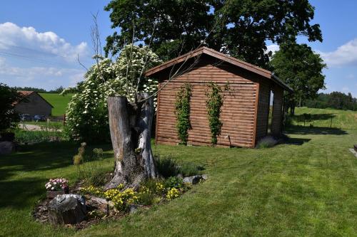 a small wooden shed in a field with a tree at "Cztery Klony" in Kowale Oleckie