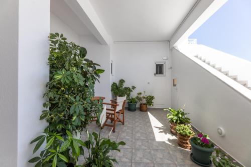 Olia island studio in Naxos town