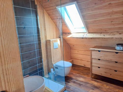 a bathroom with a toilet and a sink and a window at Casa Ysermonde- Barkas 8 in Nieuwpoort