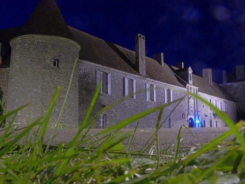 ein großes Steingebäude mit blauem Licht in der Unterkunft Château de la Berchère in Nuits-Saint-Georges