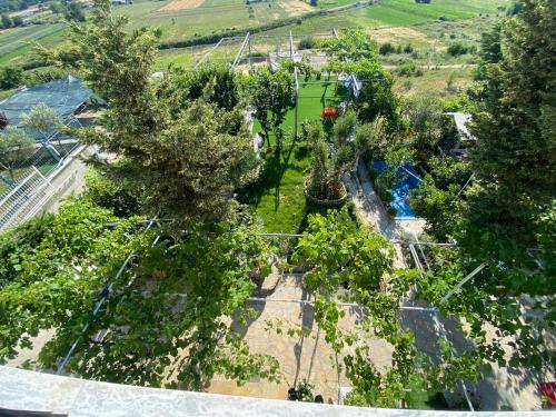 einen Blick über einen Garten mit Bäumen in der Unterkunft Bellavista Villa in Durrës