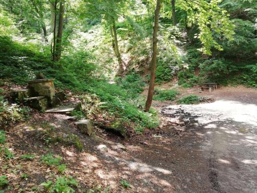 a dirt road in a forest with a bench on it at Vikend kuća Ivković in Rudnik Kačerski