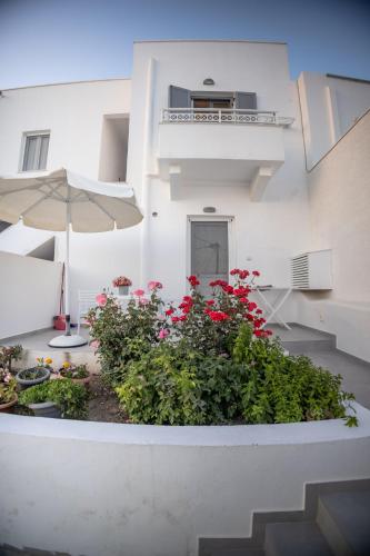 Olia garden in Naxos town