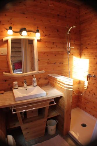 a bathroom with a sink and a shower at B&B Le Chalet Bois de Coeur in Saint Come