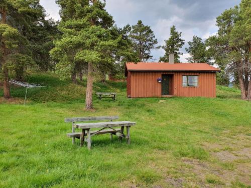a picnic table and a shed in a field at Borkhushyttene in Rundtom